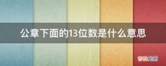 公章下面的13位数是什么意思?