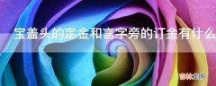 宝盖头的定金和言字旁的订金有什么区别