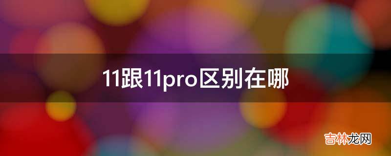 11跟11pro区别在哪