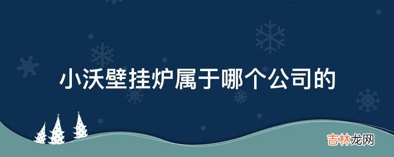 小沃壁挂炉属于哪个公司的