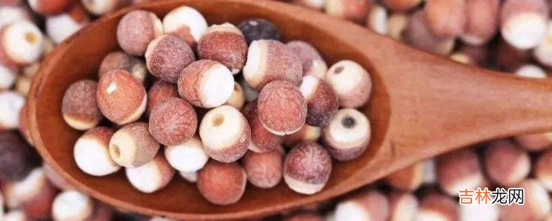 鸡头米和芡实的区别是什么