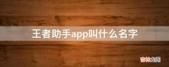 王者助手app叫什么名字