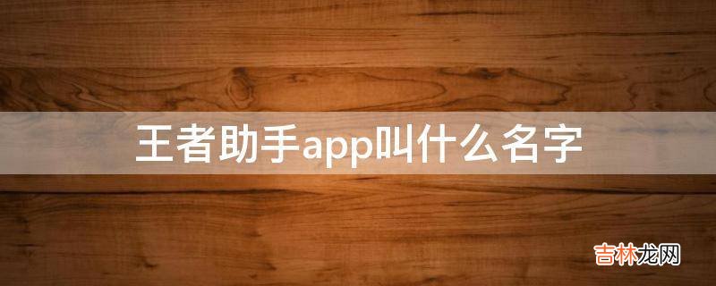 王者助手app叫什么名字