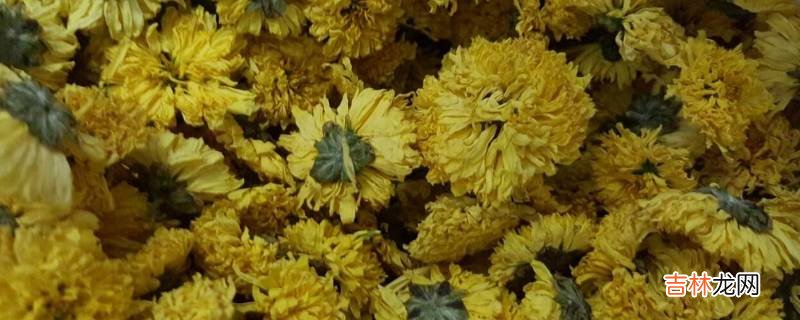 干菊花放了10年还能泡水喝吗