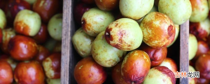 冬枣泡了糖精水的怎么看