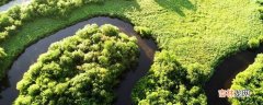 生物资源包括哪些内容