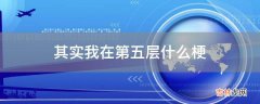 其实我在第五层什么梗