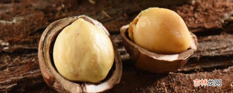 榛子需要多长时间炒熟