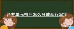 合并单元格后怎么分成两行写字