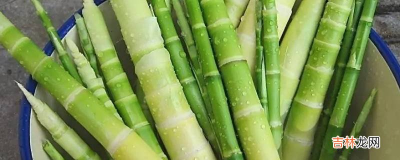 小竹笋怎么保存