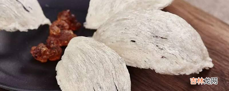 贝恩丽是什么东西