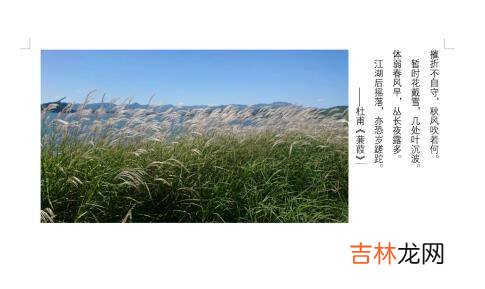 word怎么把文字浮在图片上