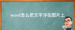 word怎么把文字浮在图片上