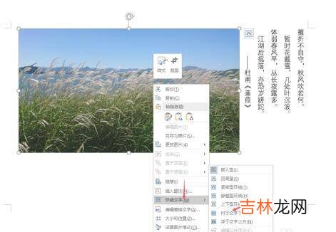 word怎么把文字浮在图片上