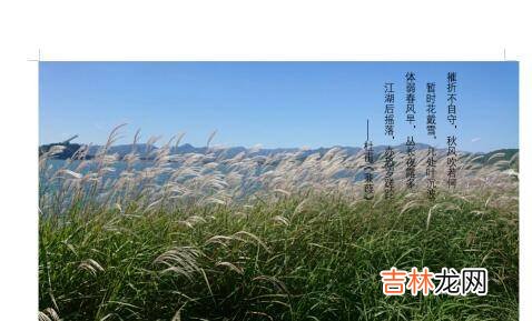 word怎么把文字浮在图片上
