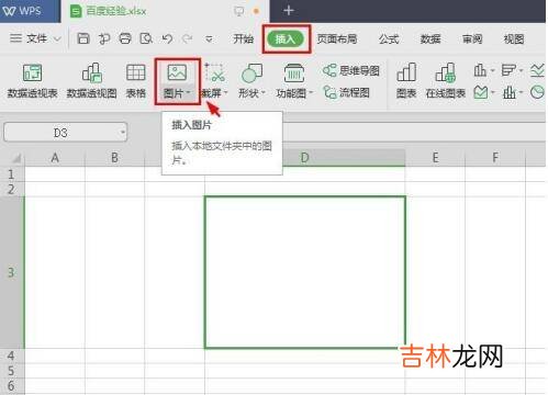 wps怎么插图片进入格子里