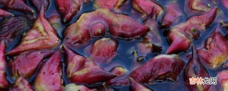 菱角煮多长时间能熟