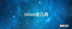 300ml是几两