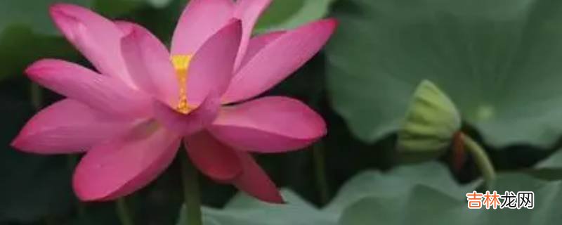 夏月是几月