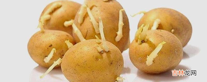发芽的土豆怎么处理