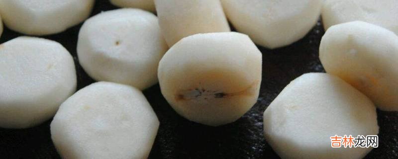 马蹄是凉性还是热性