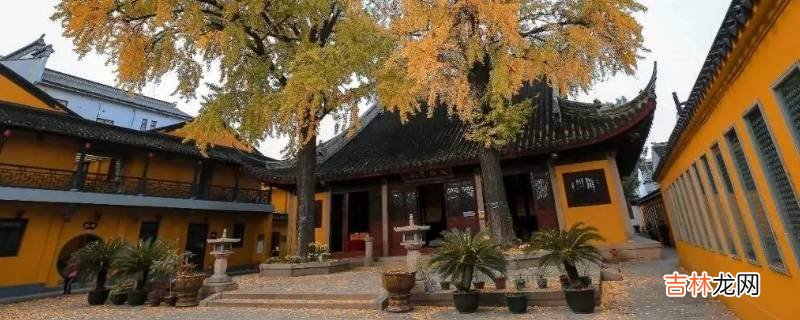 定慧寺在什么地方