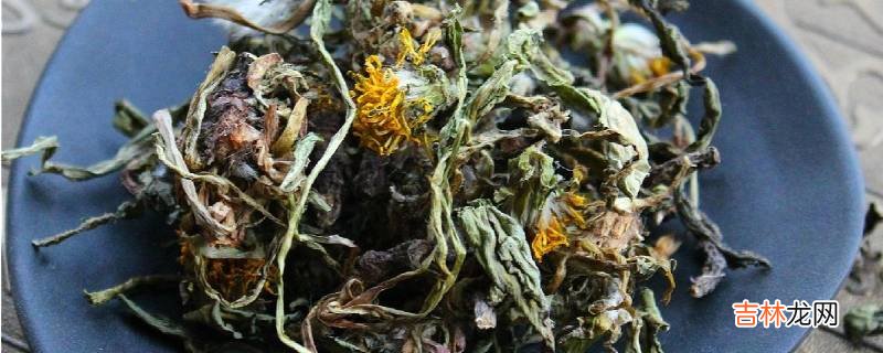 蒲公英根茶能放糖吗