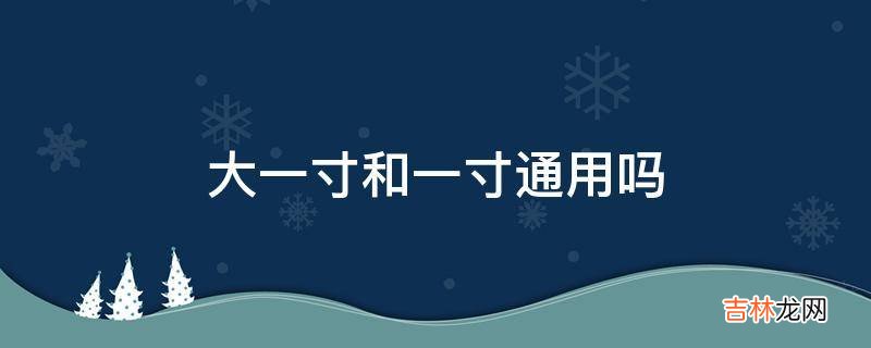 大一寸和一寸通用吗