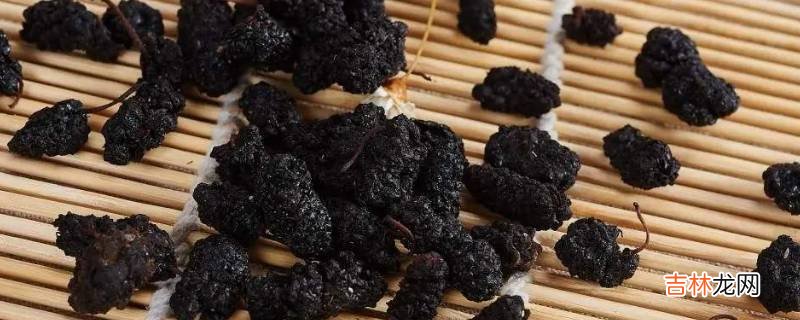 桑葚干可以干吃吗