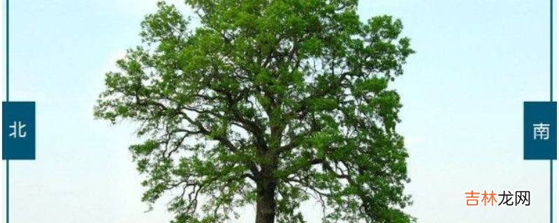 野外判断方向的五种方法