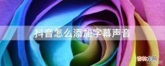 抖音怎么添加字幕声音?