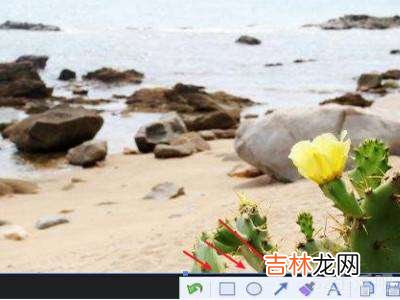 如何在图片上标注红框?