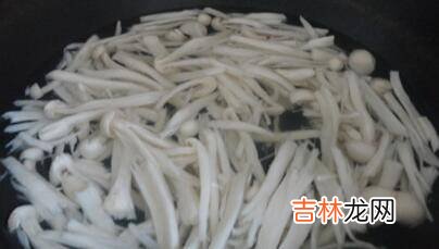 肉炒海鲜菇怎么做好吃