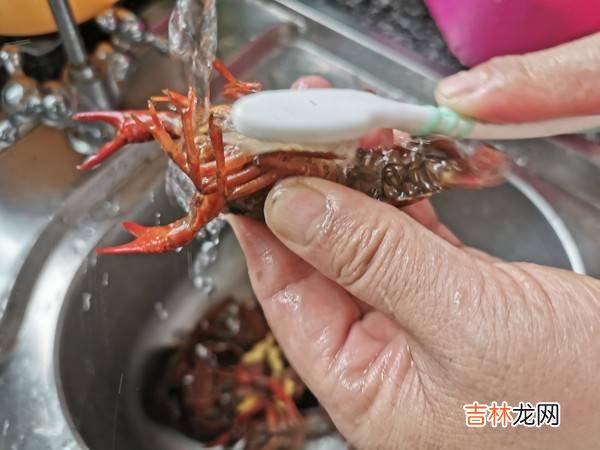蒜蓉小龙虾怎么做