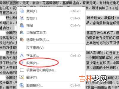 ipadwps行间距怎么设置?
