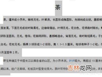 ipadwps行间距怎么设置?