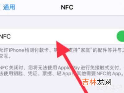 苹果xs设置里找不到NFC?