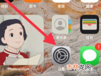 苹果xs设置里找不到NFC?