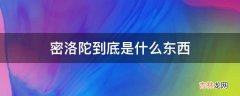 密洛陀到底是什么东西