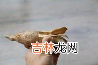 木薯怎么炒好吃