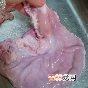 猪肚怎么清洗才能干净没有味道