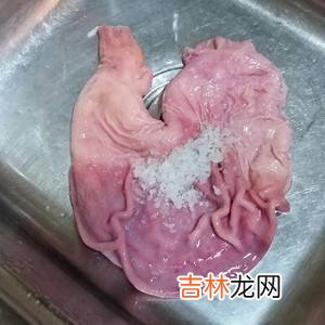 猪肚怎么清洗才能干净没有味道