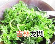 苦菊怎么炒做好吃