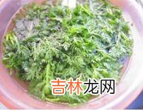 苦菊怎么炒做好吃