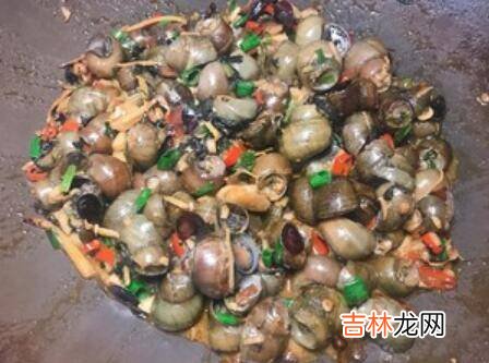 螺狮怎么炒