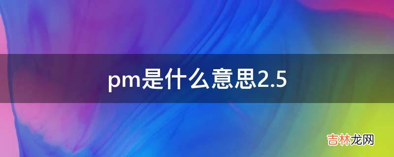 pm是什么意思2.5