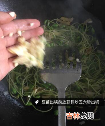 清炒豆苗怎么炒好吃