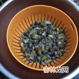 泥螺怎么炒