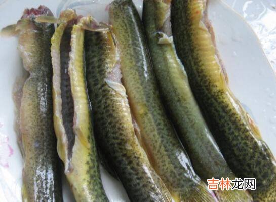 泥鳅怎么炒