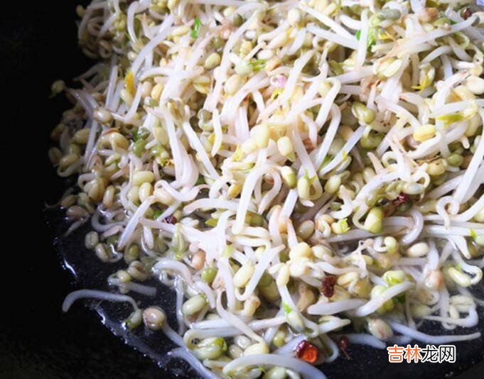 韭菜炒豆芽怎么做好吃